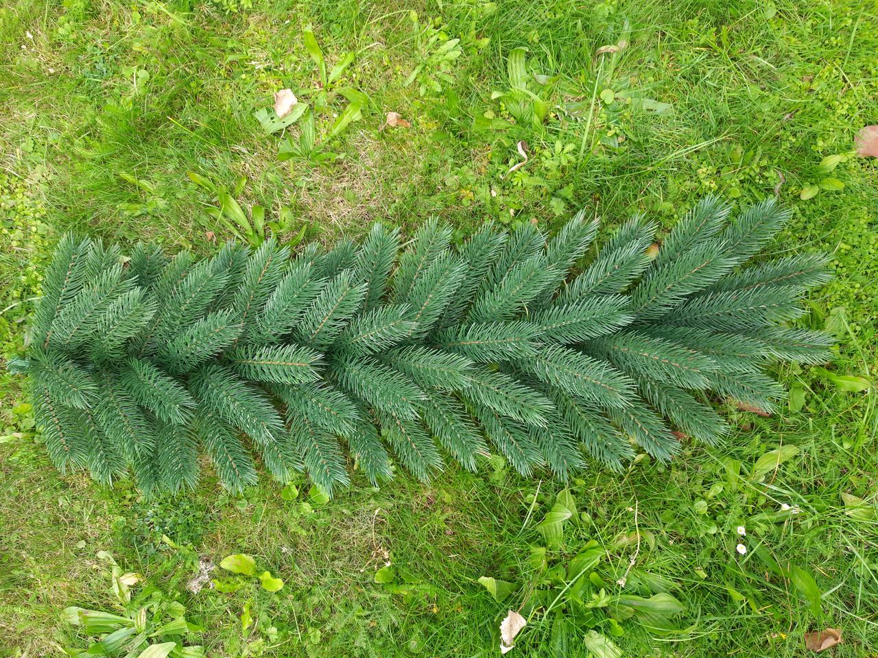 Хвойна гірлянда лита SGX Буковельська 1 м Зелений (1494622294) - фото 7 Хвойна гірлянда лита SGX Буковельська 1 м Зелений (1494622294) - фото 7