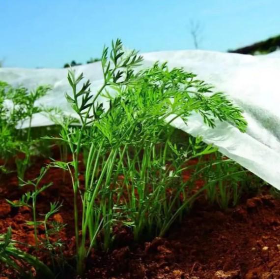 Агроволокно Shadow 17 г/м² 1,6x50 м (АВБР000011) - фото 7 Агроволокно Shadow 17 г/м² 1,6x50 м (АВБР000011) - фото 7