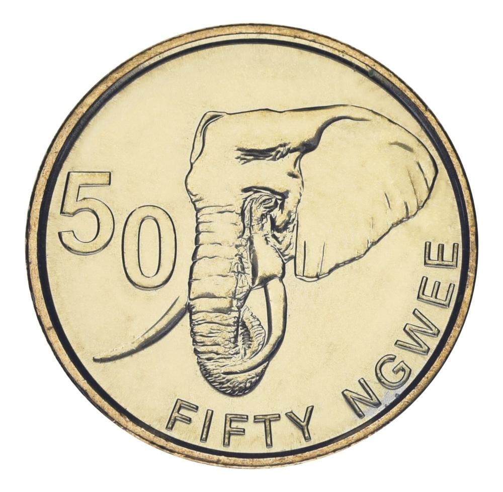 Коллекционная монета Замбия 50 нгве 2024 UNC Животное Слон (М21882)