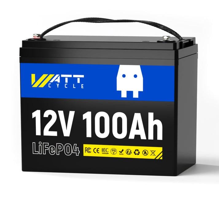 Аккумулятор литий-железо-фосфатный BMS 12V 100 Ah (31762284) Аккумулятор литий-железо-фосфатный BMS 12V 100 Ah (31762284)
