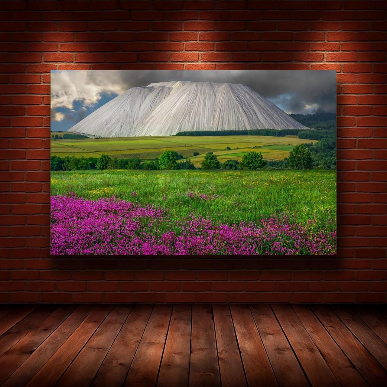 Картина на холсте Природа 55х85 см (N945)