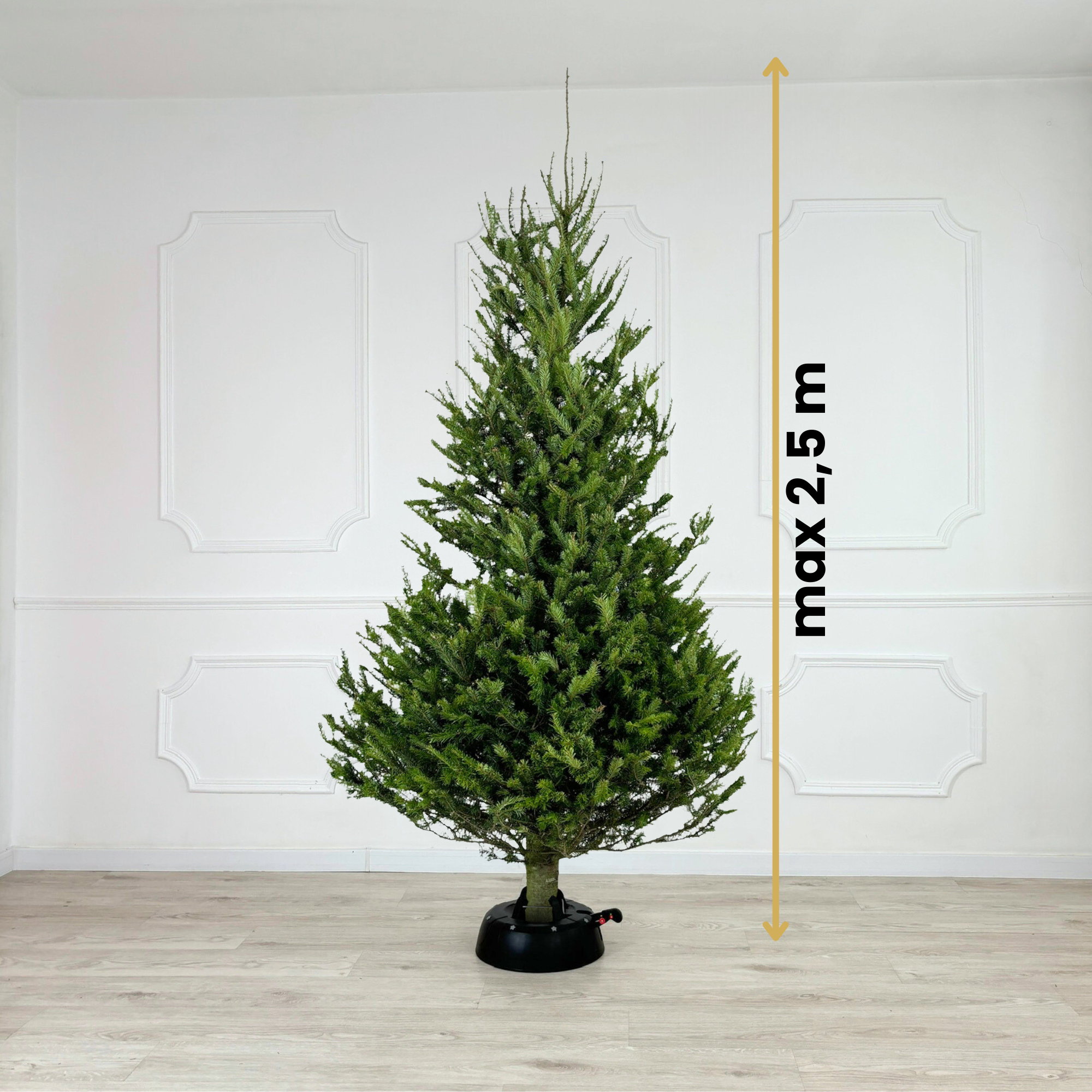 Підставка під ялинку KAMAI START 2,5 до 2,5 м Антрацит - фото 12 Підставка під ялинку KAMAI START 2,5 до 2,5 м Антрацит - фото 12