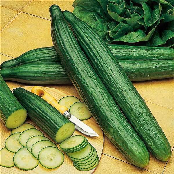 Огірок Телеграф 10 шт./5 пак. (38294739)