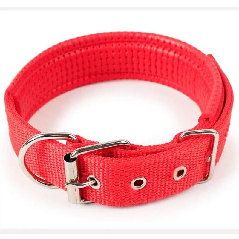 Ошейник для собак с железной пряжкой 31-38 см Красный (1A0071) - фото 1 Ошейник для собак с железной пряжкой 31-38 см Красный (1A0071) - фото 1