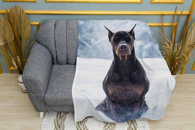 Плед Doberman in the snow плюш двухслойный 150х210 см (113443-3)