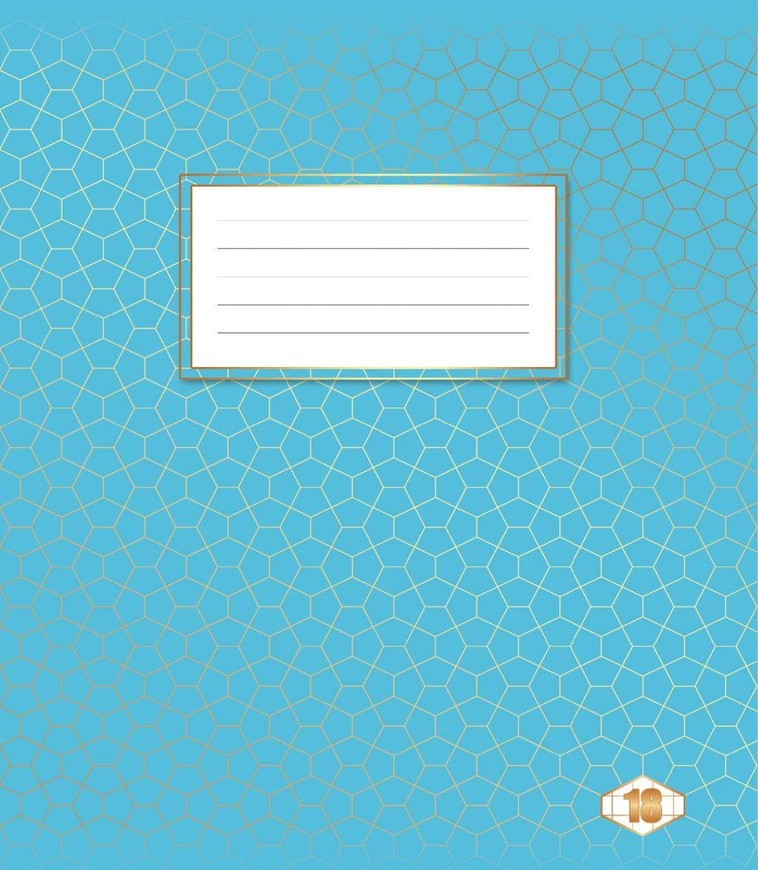 Зошити учнівські Тетрада Мікс в клітинку тверда палітурка 18 арк. 20 шт. (MTT-130597)