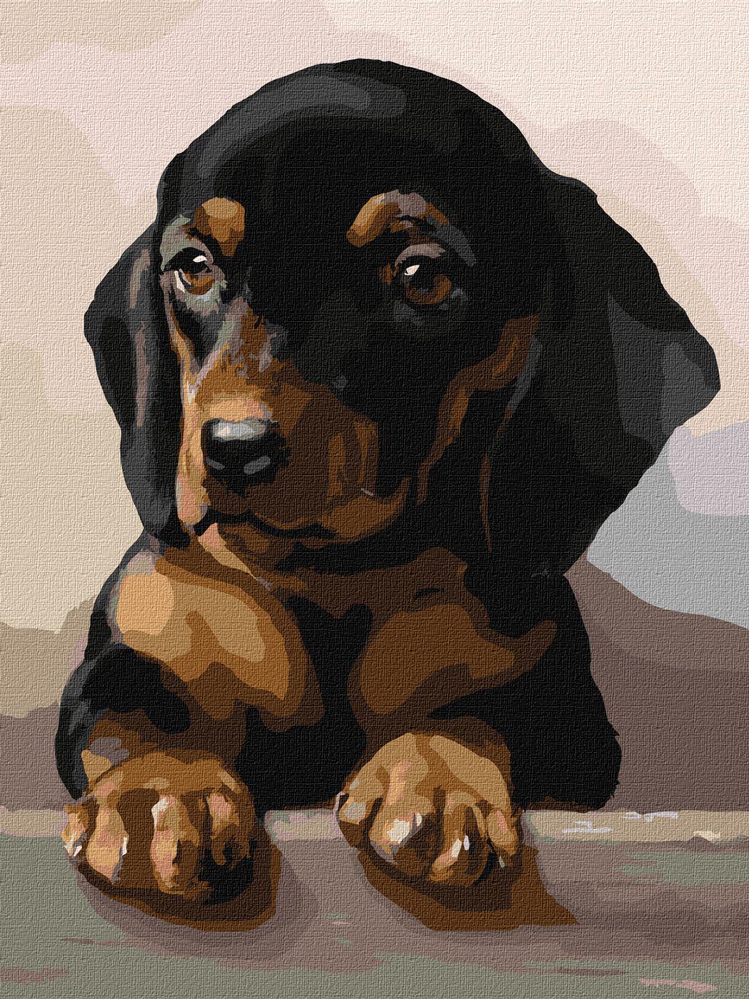 Картина по номерам Идейка Преданный взгляд 30х40 см