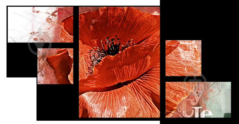 Модульная картина Декор Карпаты FL-005 138х71см Мак (hub_ClSt60201)