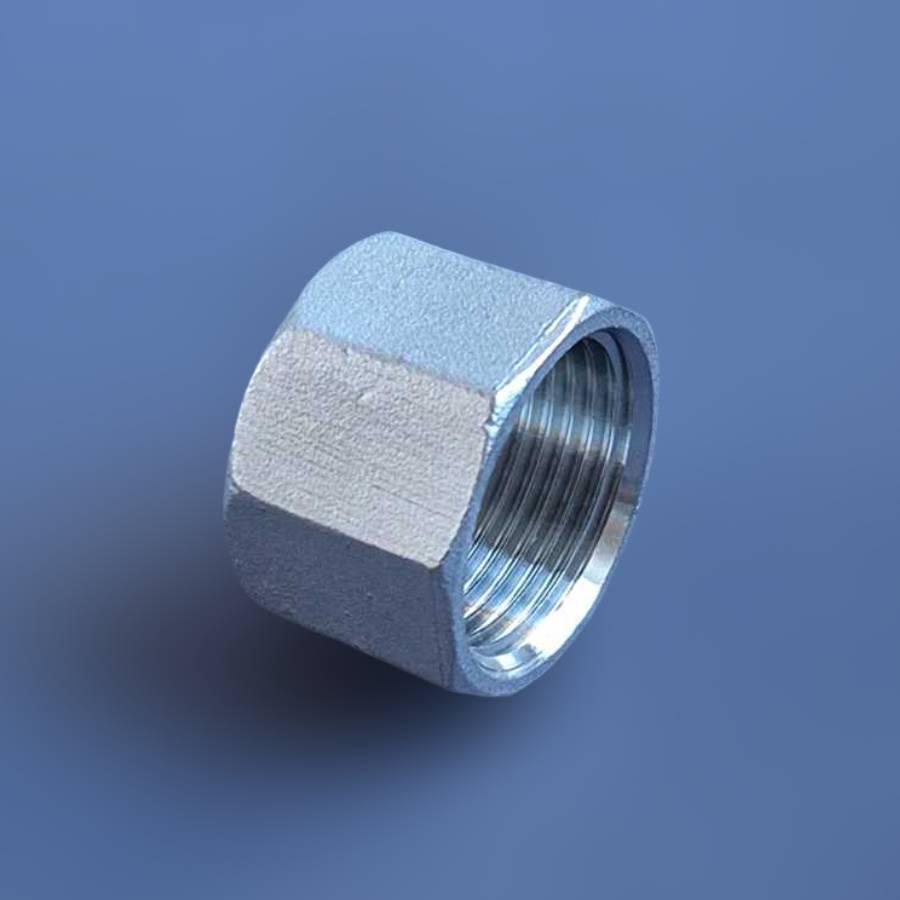 Заглушка різьбова восьмигранна DN25 BSPP н/ж сталь AISI304 Class-150 внутрішня різьба 1" (29203227) - фото 7 Заглушка різьбова восьмигранна DN25 BSPP н/ж сталь AISI304 Class-150 внутрішня різьба 1" (29203227) - фото 7