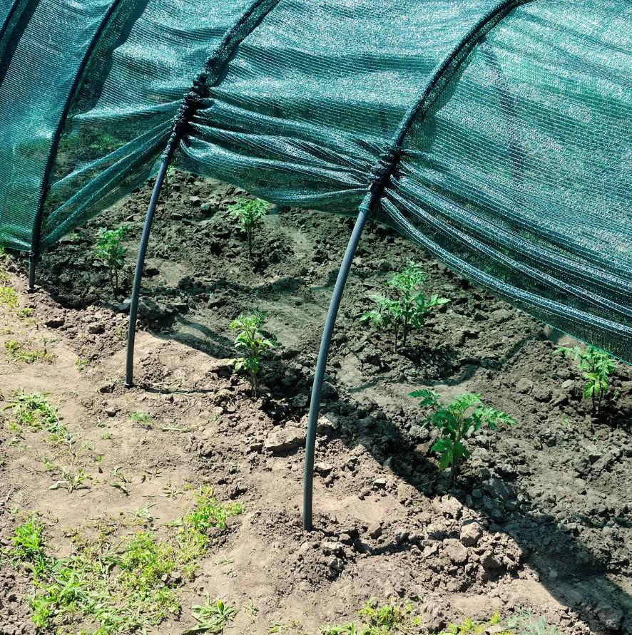 Накрытие растений от солнца Shadow затенение 60% 3 м 120x80 см (НДРС0001) - фото 4 Накрытие растений от солнца Shadow затенение 60% 3 м 120x80 см (НДРС0001) - фото 4