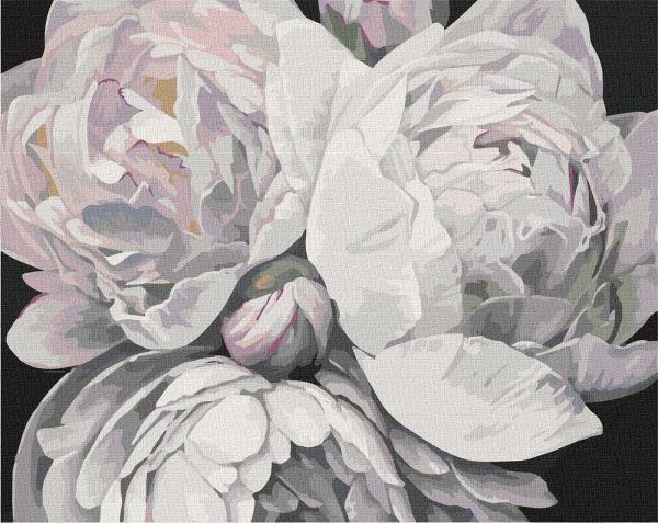 Картина по номерам Идейка Цветы Краски пиона 40х50 см в термопакете (КНО3114-mt)