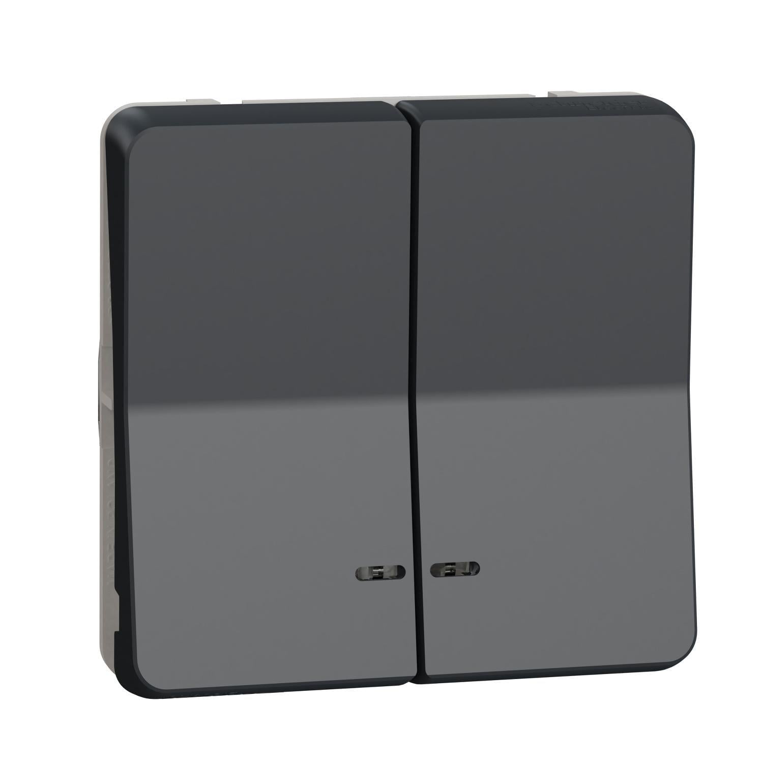 Механизм двухклавишного кнопочного выключателя Schneider Electric Mureva Styl с подсветкой IP55 Черный (MUR35228)
