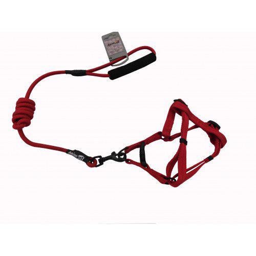 Комплект шлейка с поводком AnimAll для животных S 0,8х120 см 36-48 см Красный