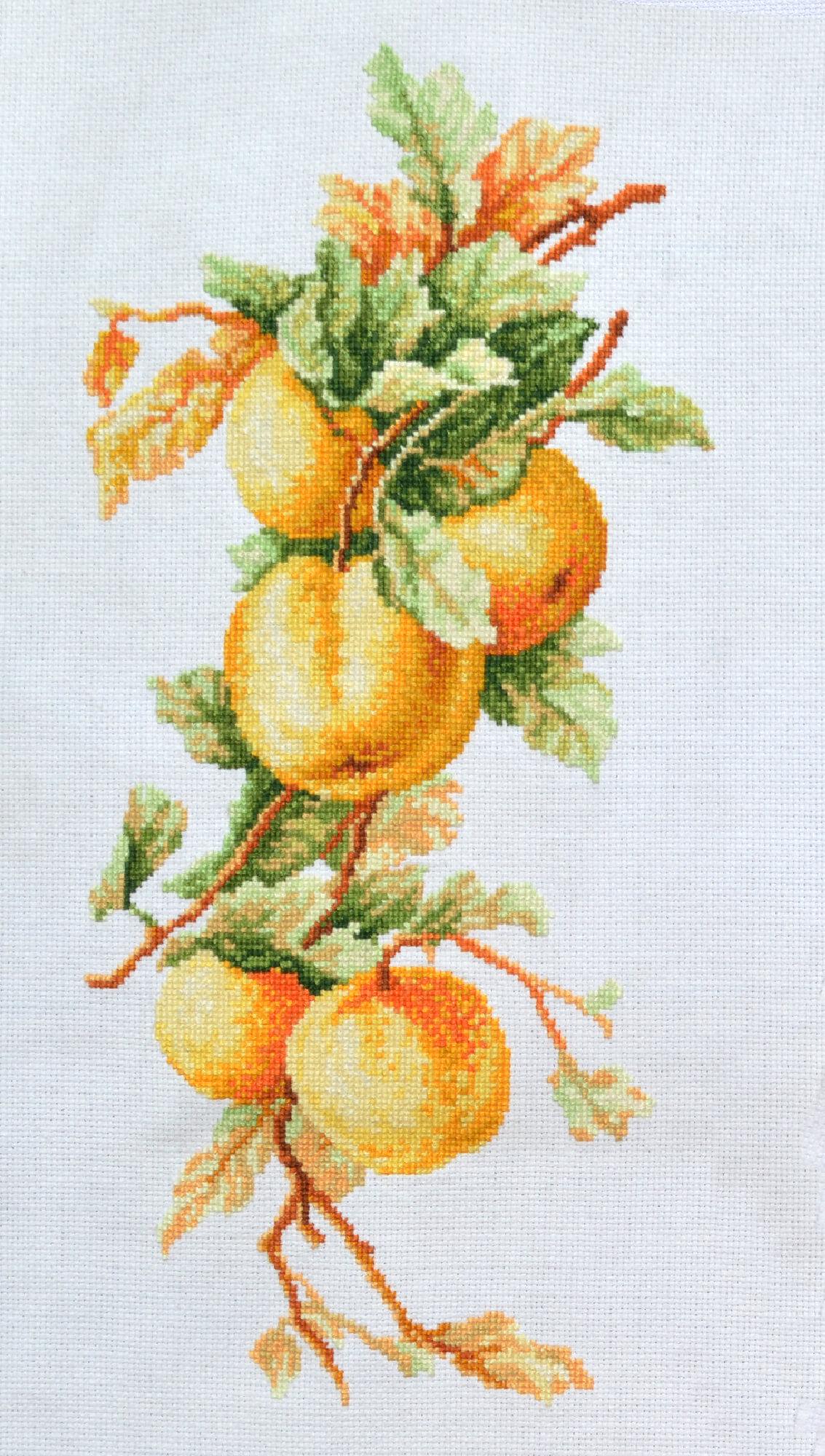 Набор для вышивки крестом Ветвь яблок (747)