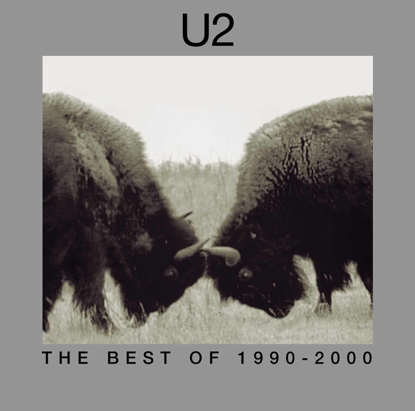 Виниловая пластинка U2: The Best Of 1990 - 2000 2LP (25491503)