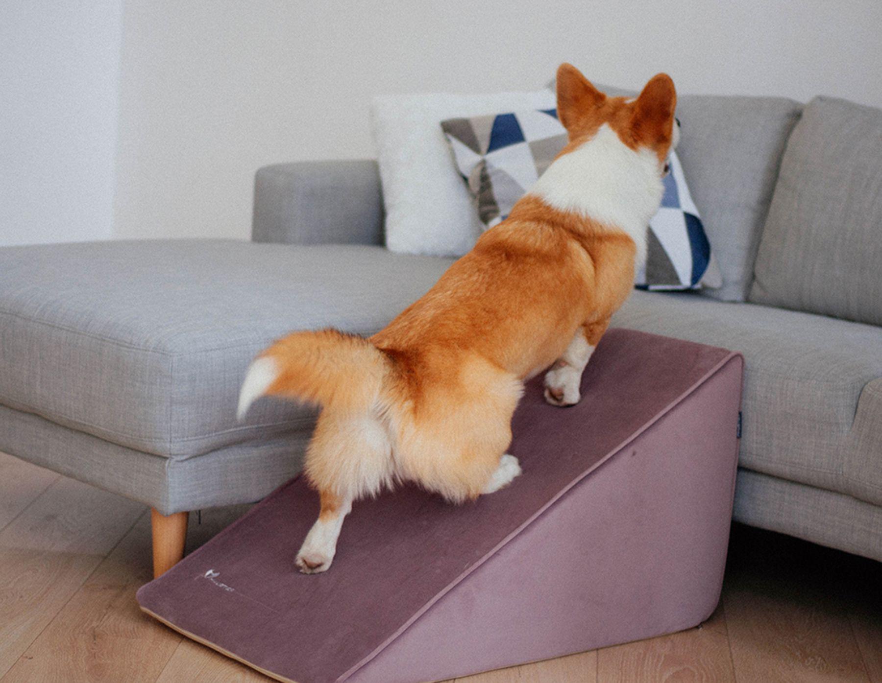 Пандус для Собак Haustier Powder 78х45х42см (R3-1-028) - фото 9 Пандус для Собак Haustier Powder 78х45х42см (R3-1-028) - фото 9