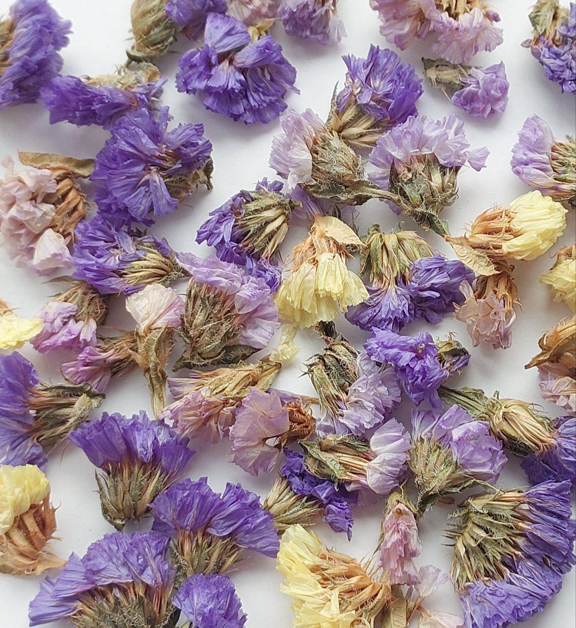 Сухоцвет Незабудки микс для декора/свечей/сила/косметики/эпоксидной смолы (С-016/1)