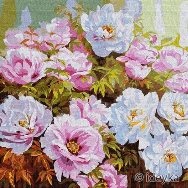 Картина за номерами Ідейка Квіти Різноманітність півонії 50х50 см в термопакеті (КНО3193-mt)