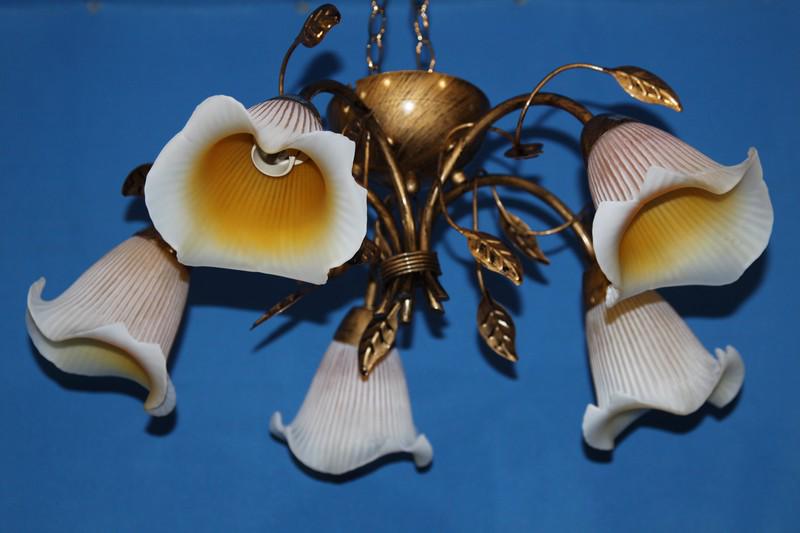 Люстра с плафонами Ray L90532D/5 (IR006012)