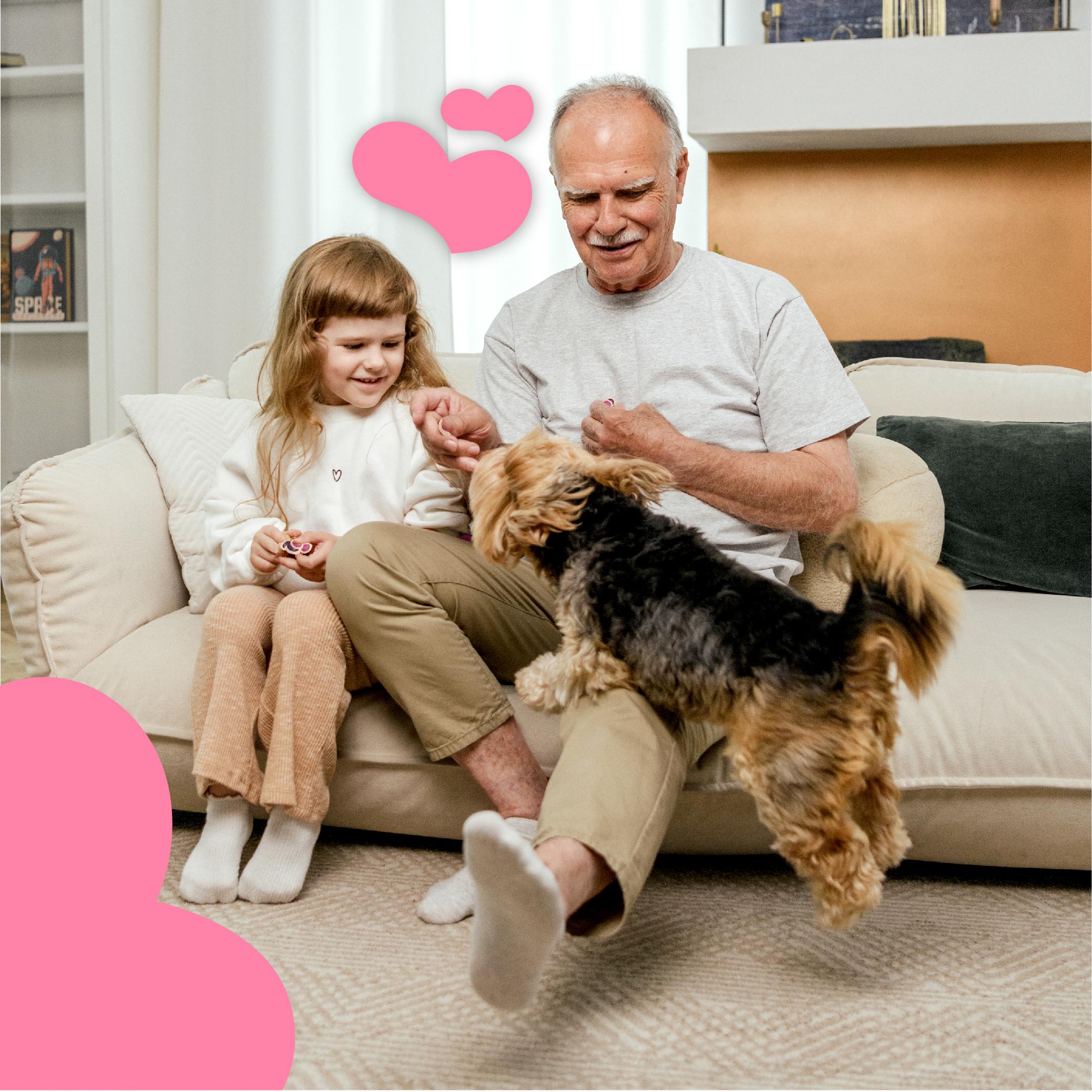 Ласощі для собак Mavsy Freeze dried PANACOTTA WITH YOGURT AND WILD BERRIES панна-котта з йогуртом та лісовими ягодами від 3-х місяців 50 г (24624852) - фото 6