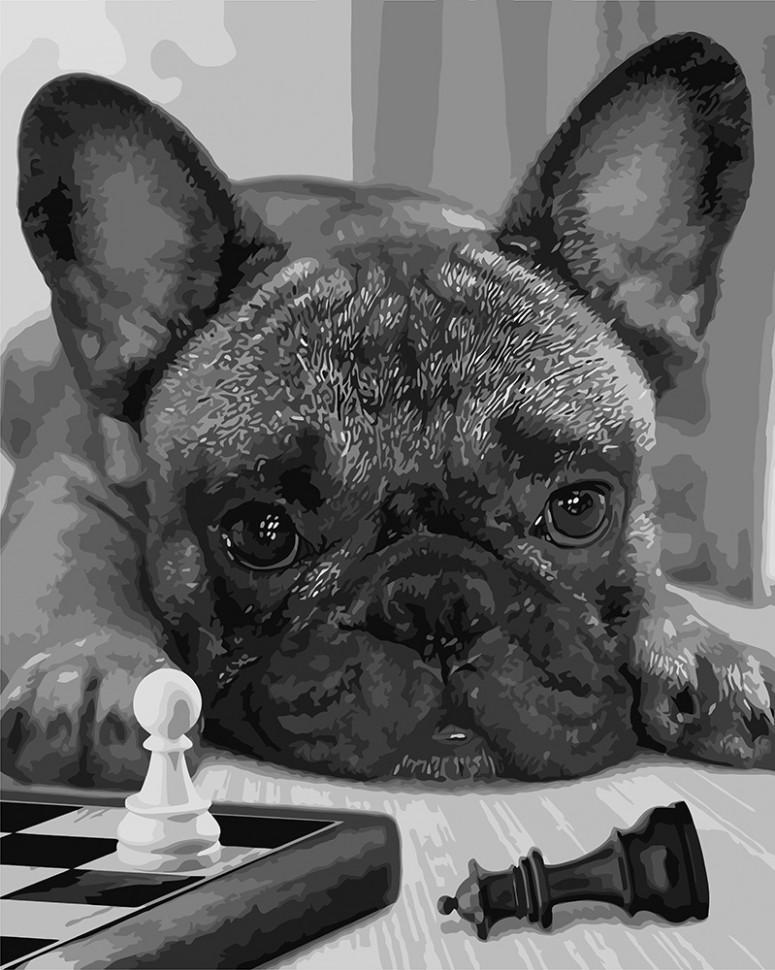 Картина по номерам Идейка "Лучший игрок" 40х50 см (KHO4176)