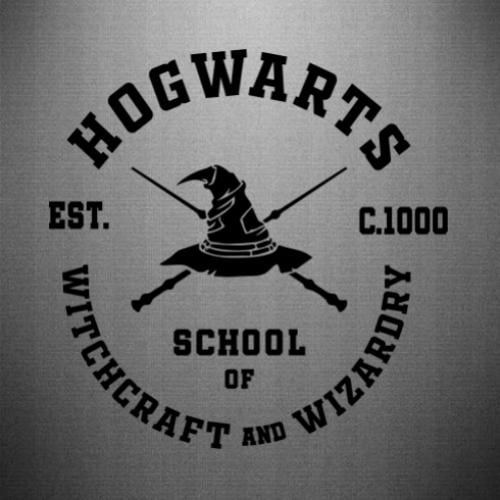 Наклейка Hogwarts Witchcraft and Wizardry 49,9x50 см (24453488)