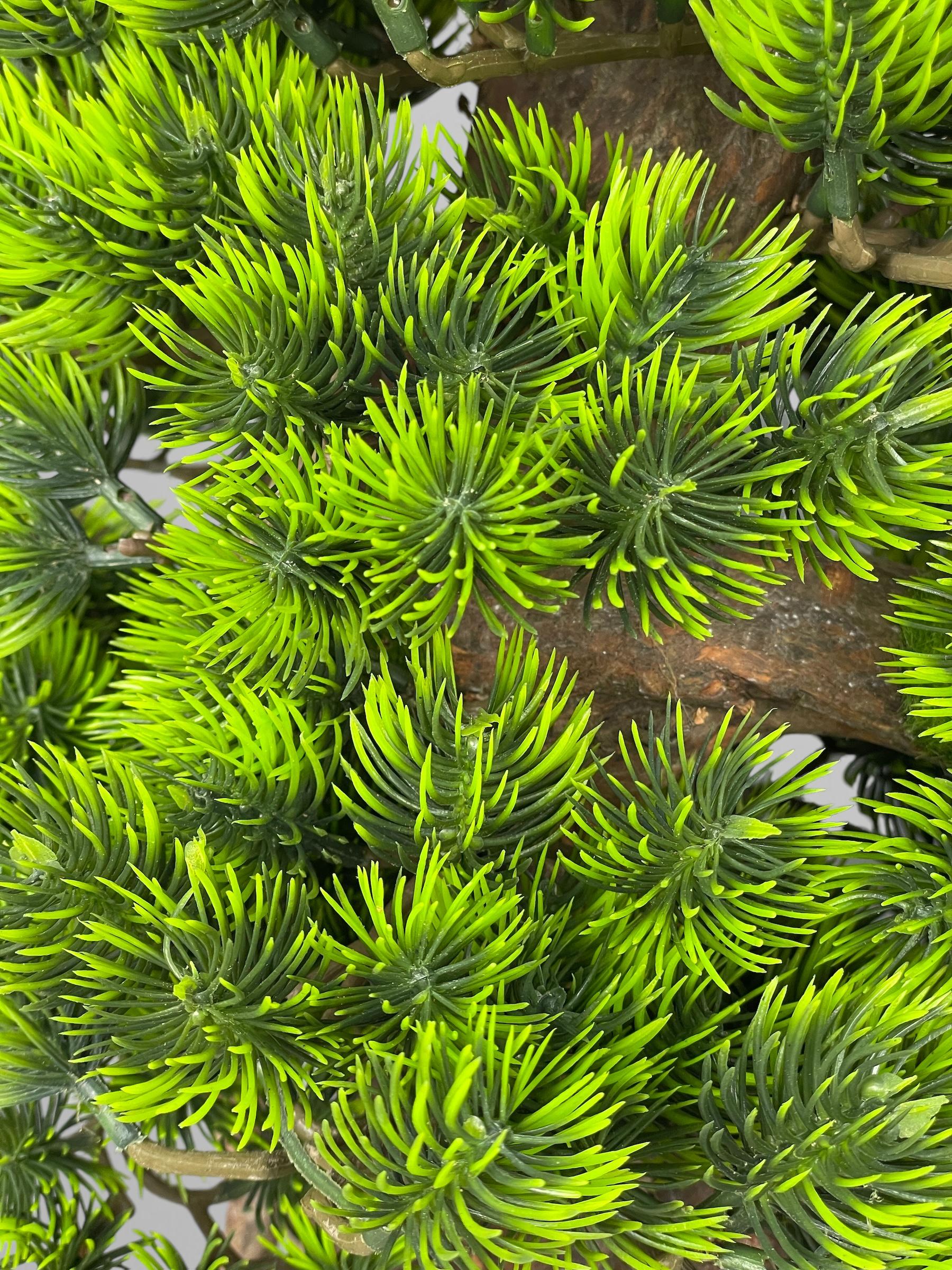 Бонсай 52 см Зеленый (Б007) - фото 3 Бонсай 52 см Зеленый (Б007) - фото 3