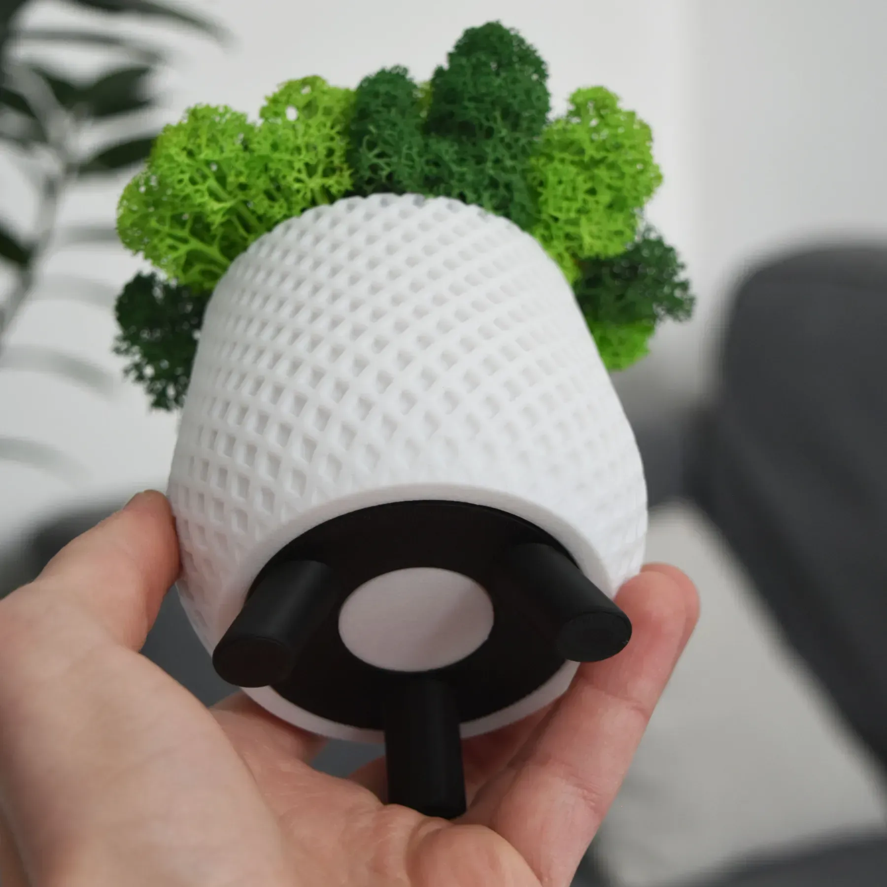 Кашпо Loft на чорних ніжках з стабілізованим мохом Білий/Зелений/Салатовий (KM-B-5) - фото 3 Кашпо Loft на чорних ніжках з стабілізованим мохом Білий/Зелений/Салатовий (KM-B-5) - фото 3