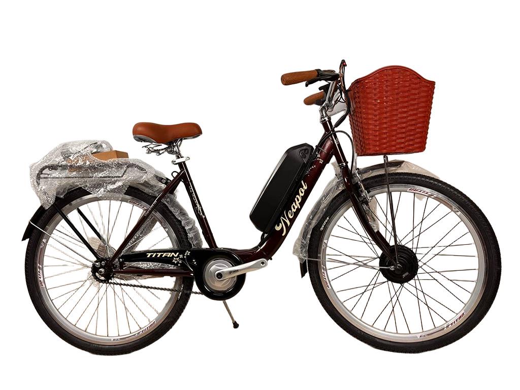 Электровелосипед Titan Neapol 26" 18" с дисплеем 350 W 36 V10 Ah Коричневый