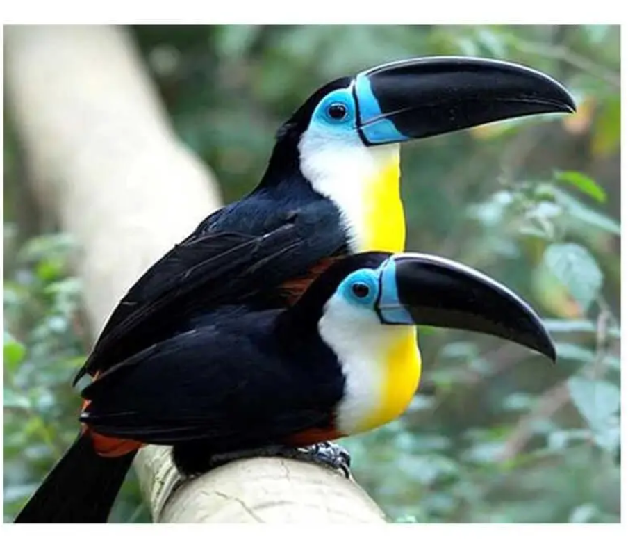 Алмазна мозаїка TK Group Птахи 20 кольорів 30х40 см (GB 77819)