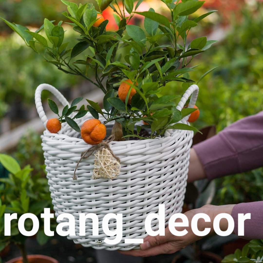 rotang_decor