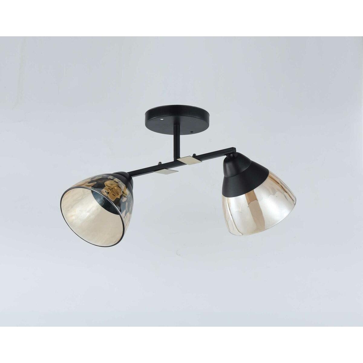 Люстра Sirius 9138/2 на 2 плафона (372590)