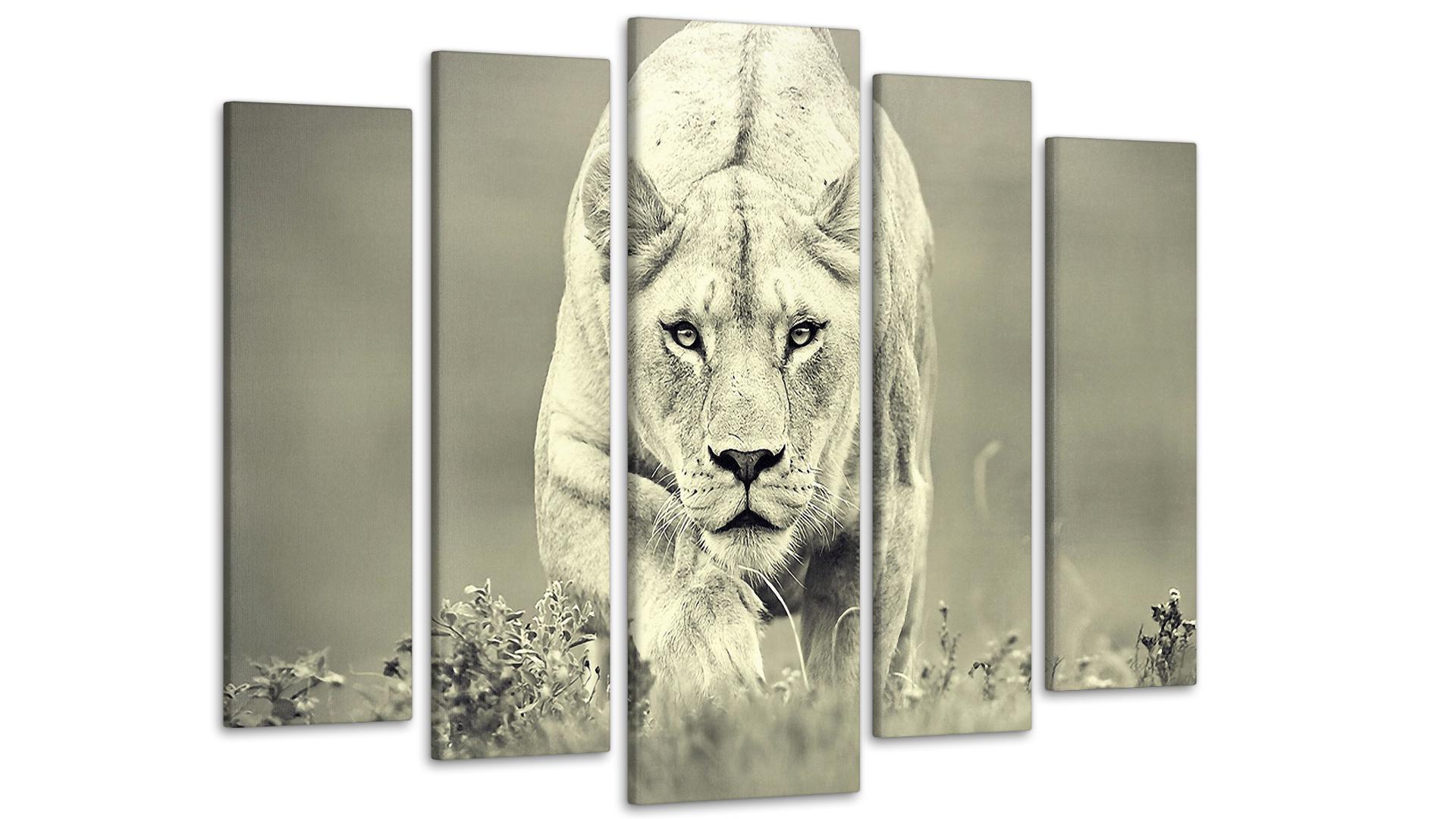 Модульная картина Природа Тигр 80х118 см (Art-194_5)