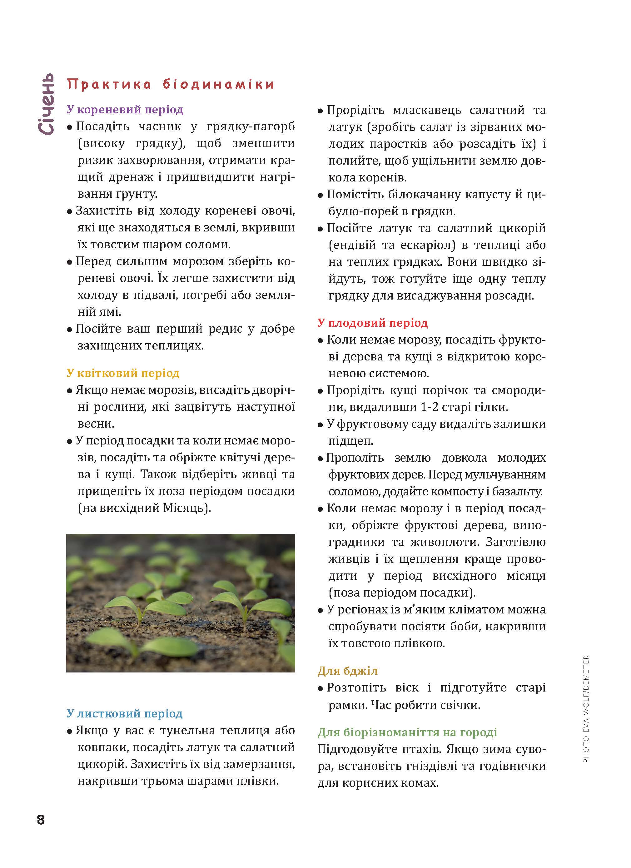 Книга Марія Тун "Біодинамічний календар 2024. Городництво, сільське господарство, бджільництво" (978-617-8192-97-6) - фото 12