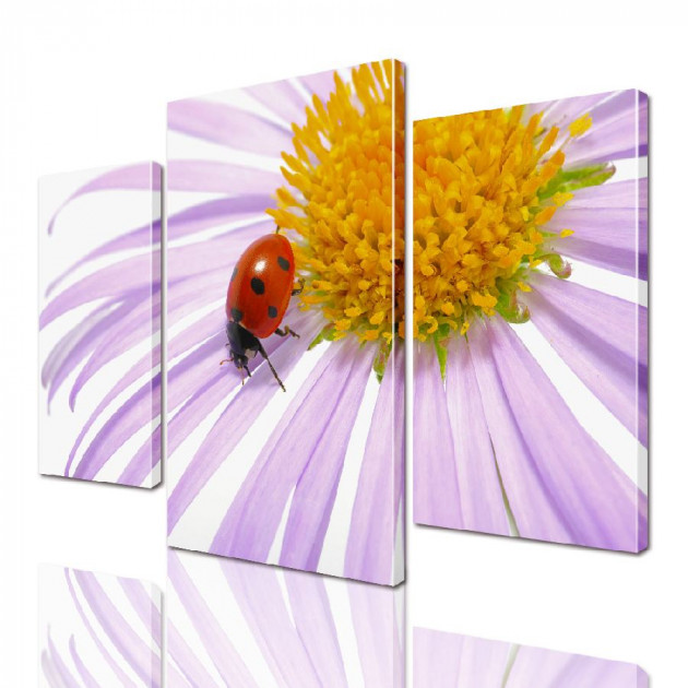 Картина модульная ArtStar Ромашка ADFL0030 120х180 см 3 части