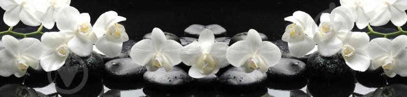 Наклейки кухонный фартук Zatarga " Белые Орхидеи на черном фоне" 600х2500 мм Белый (Z180255) Наклейки кухонный фартук Zatarga " Белые Орхидеи на черном фоне" 600х2500 мм Белый (Z180255)