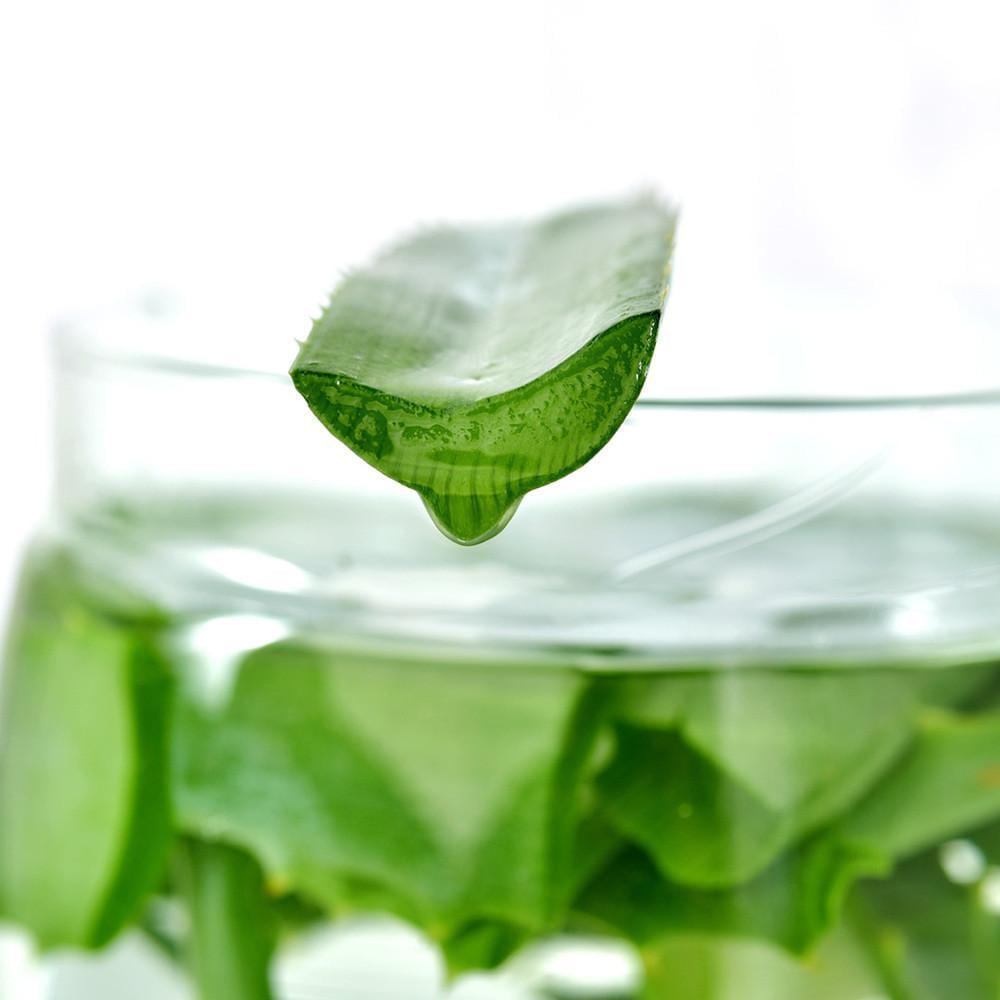 Одеяло IDEIA Aloe Vera всесезонное 140х210 cм Белый (8-13464) - фото 8 Одеяло IDEIA Aloe Vera всесезонное 140х210 cм Белый (8-13464) - фото 8