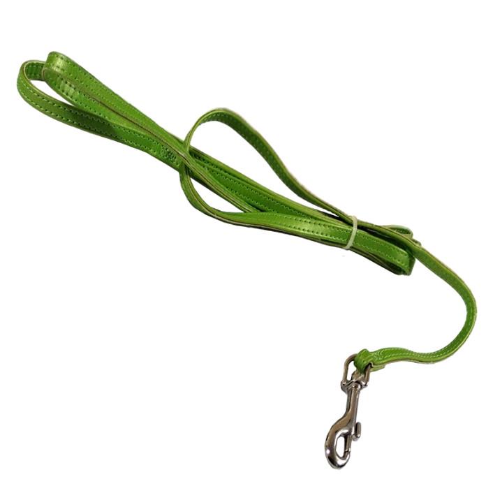 Повідець для собак Coastal Li’l Pals Vinyl (00256_GRN06)