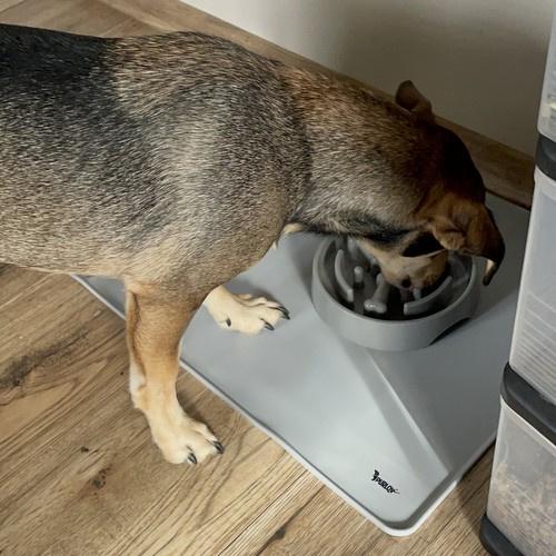 Підкладка для тварин Purlov 24295 силіконова 60x40 см (27039263) - фото 7