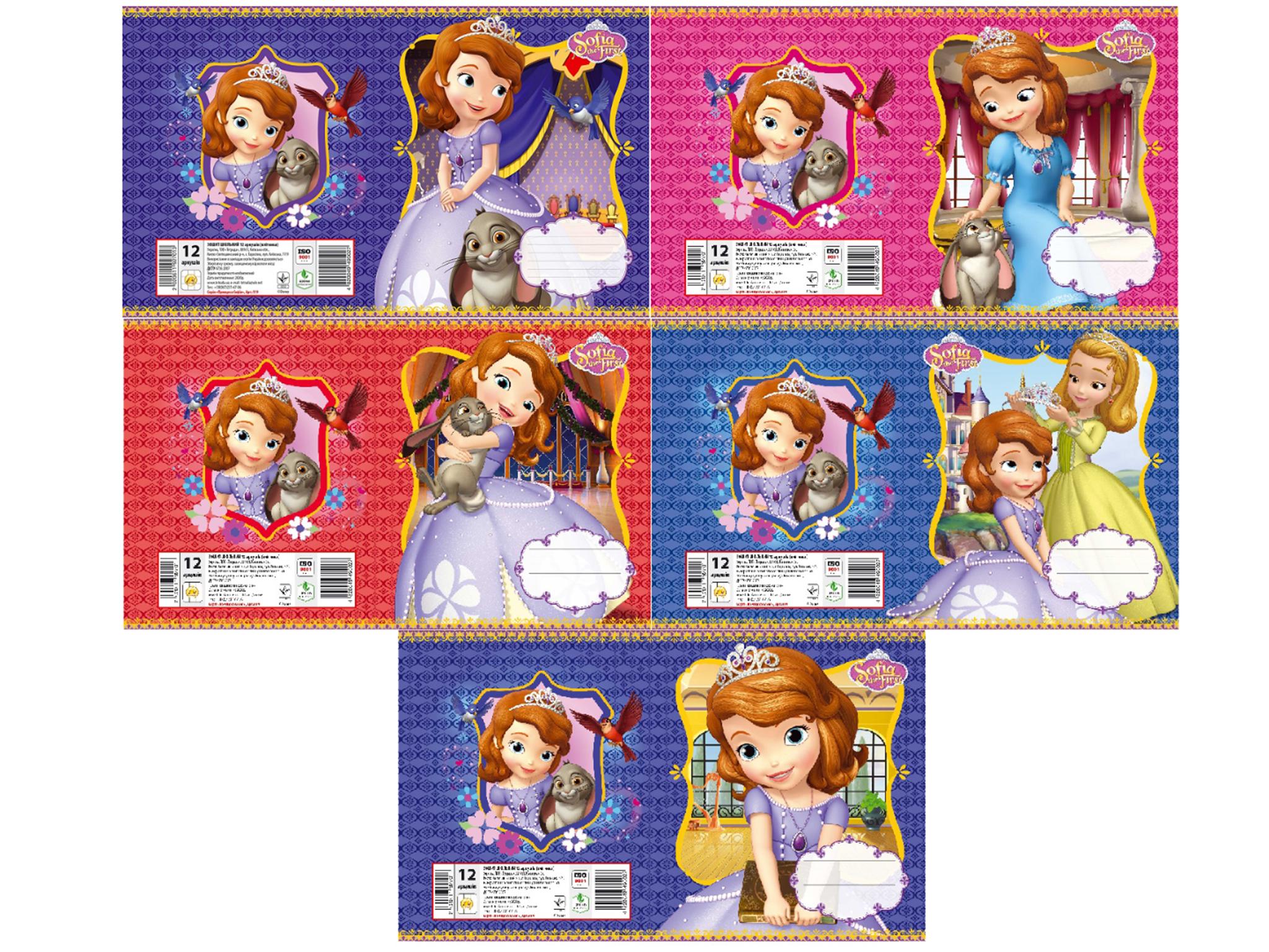 Тетрадь Тетрада Принцесса София 12 листов 25 шт. (MTA-TE11928)
