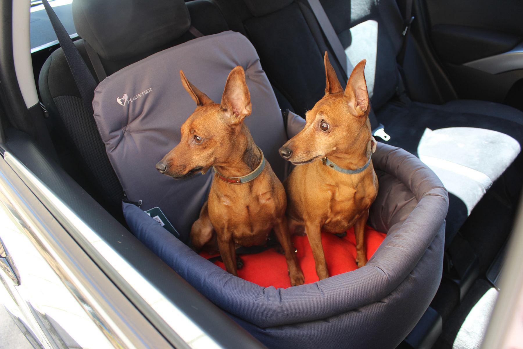 Автокрісло для Собак Haustier Happy Travel Gray S 40x40x20x45см (HT2-1-023) - фото 3 Автокрісло для Собак Haustier Happy Travel Gray S 40x40x20x45см (HT2-1-023) - фото 3