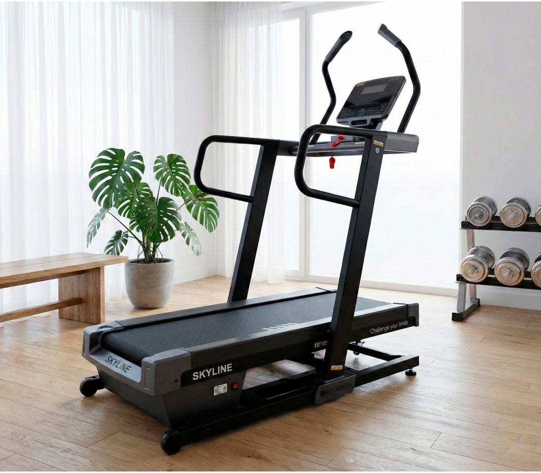 Беговая дорожка FITFABRICA SKYLINE