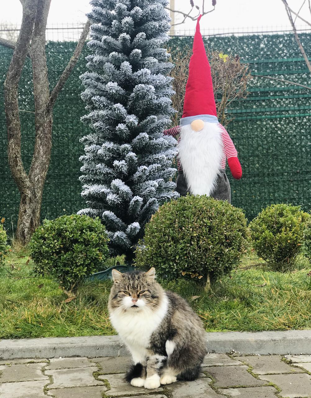 Искусственная елка HVOYA SGH Альпийская заснеженная узкая 220 см (1713320348) - фото 3