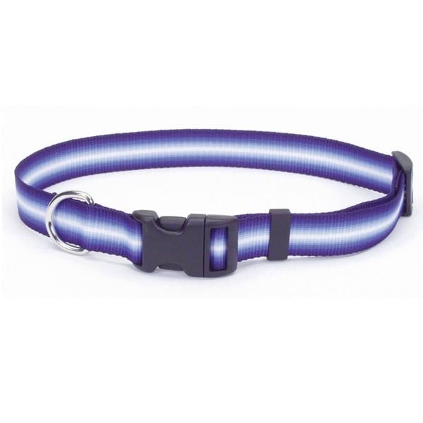 Ошейник для собак Coastal Trendz Graduated 1х30 см (16361_PUR12)