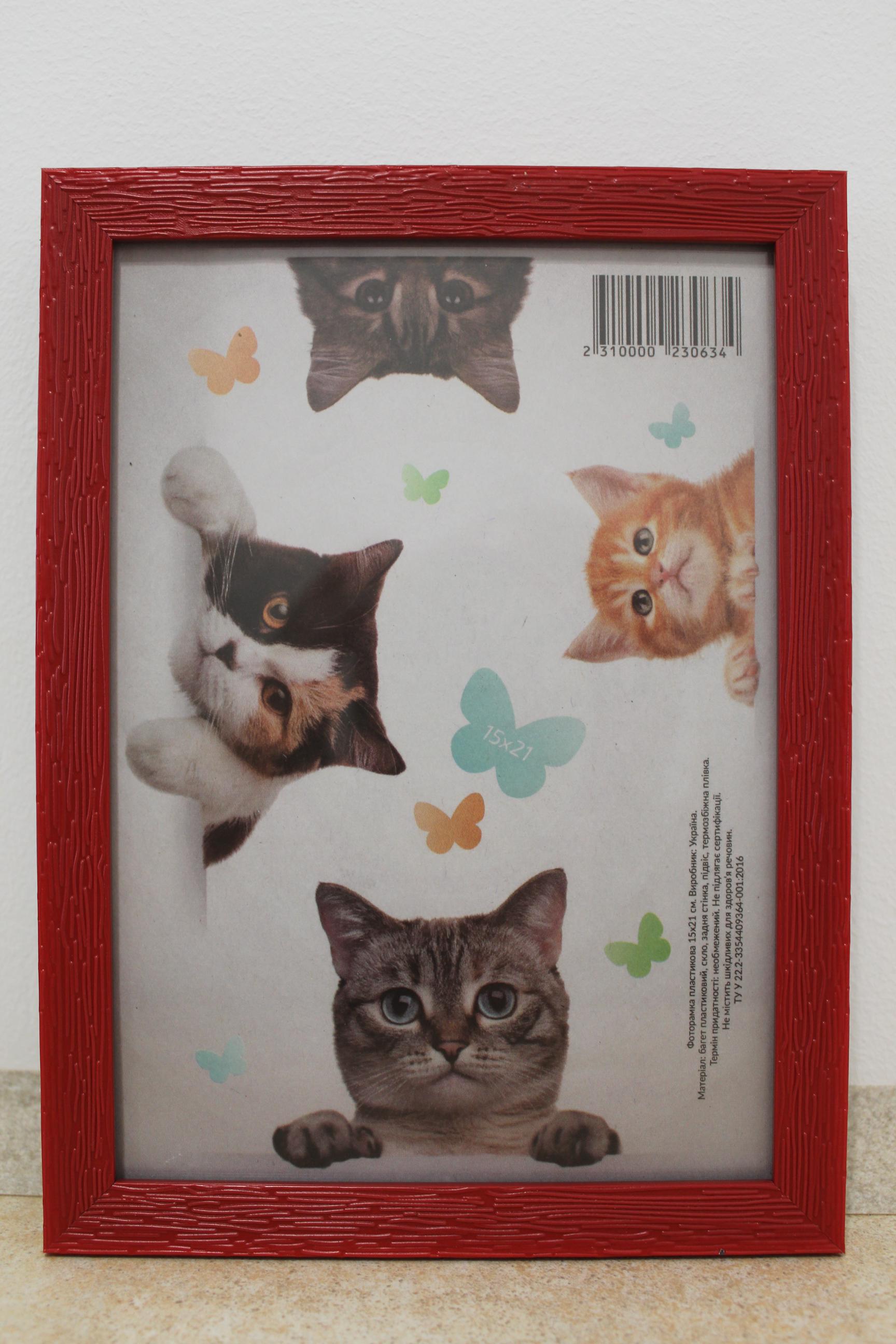 Фоторамка UAFRAME 1611А-012-57 скло/картон 15х21 см Черввоний (19125048)