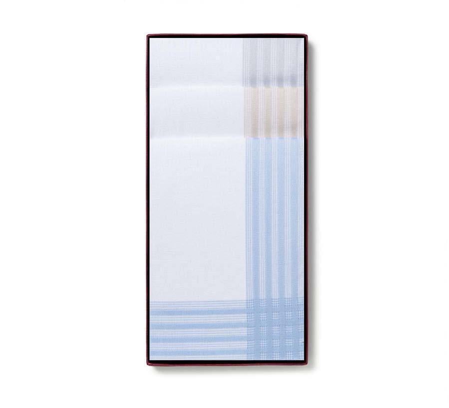 Носовые платки мужские хлопковые Guasch 104.92 D.12