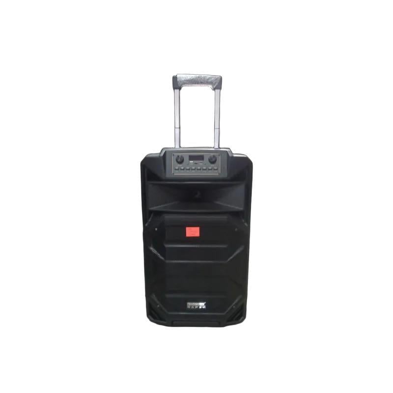 Колонка Temeisheng SL 15-31T 240 Вт с двумя микрофонами (45718-_10798)
