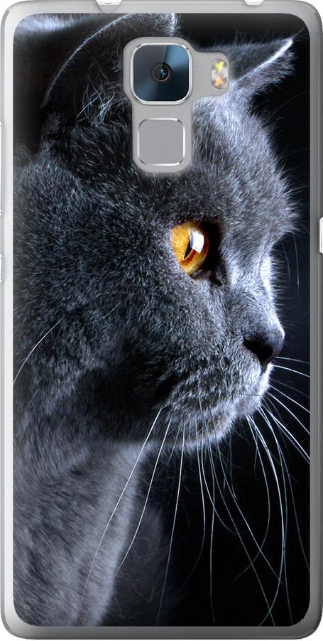Чехол на Huawei Honor 7 Красивый кот (3038u-138-42517)