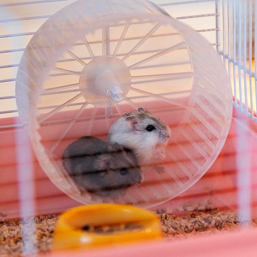 Клетка для хомяков в Комплект е с наклейками CRICETI 9 PRINCESS 46x29,5xh 23 см (A-036615) - фото 8