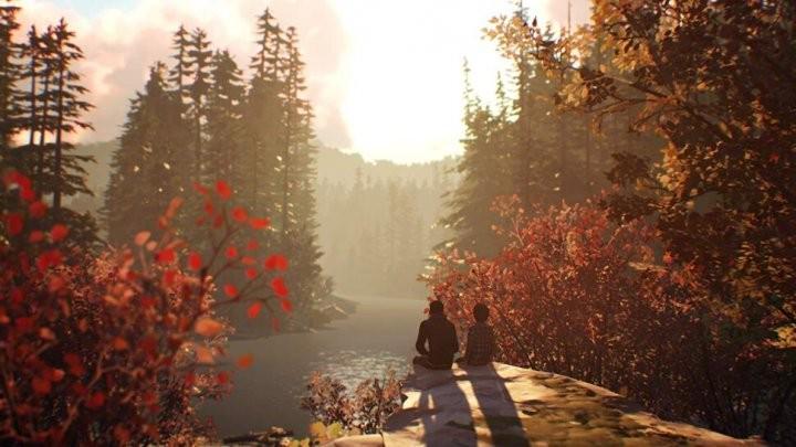 Игра Life is Strange 2 для PS4 Blu-ray (0409) - фото 3